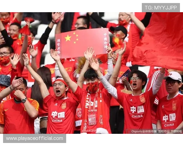 归化球员以塞鸟赛场全程高唱国歌展现满满责任担当与强烈归属感