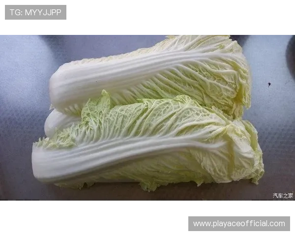 白菜论坛最新热门交流资讯分享与实用生活技巧全攻略