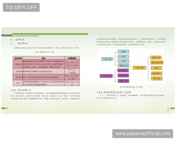 Pinnacle中文全方位解析与使用指南行业应用前景深度探讨